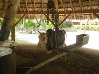 La Digue