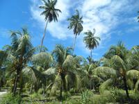 La Digue