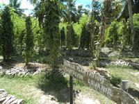 La Digue
