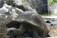 La Digue