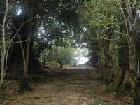 Mission Lodge Mahé