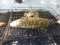 Picknick Barbeque