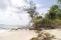 Praslin Rundfahrt