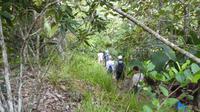 Praslin, unterwegs auf dem Naturlehrpfad