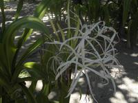 Praslin