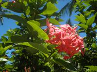 Praslin