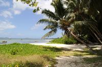 Rundfahrt - Praslin