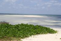 Rundfahrt - Praslin