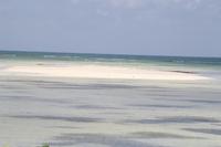 Rundfahrt - Praslin