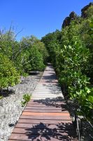 Seychellen - Curieuse (10)
