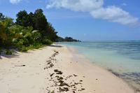 Strand auf La Digue