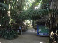 Vallée de Mai