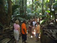 Vallée de Mai