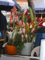 Victoria Markt