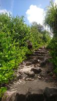 Wanderung auf Curieues