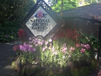 Besuch National Orchid Garden Singapur
