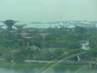 Blick auf  Garden of the Bay vom Riesenrad aus
