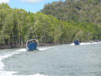 Flussfahrt durch Mangrovenwälder Langkawi