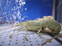 Singapur - Clarke Quay