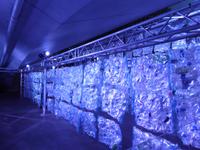 Gegen Plastikmüll - Lichtinstallation - Singapur