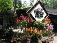 Orchideen Garten - Singapur