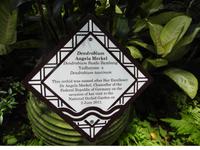 Orchideen Garten - Singapur