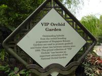 Orchideen Garten - Singapur