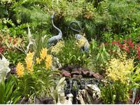 Orchideen Garten - Singapur