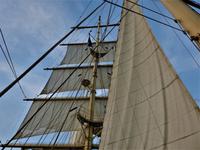 Unter weißen Segeln - Star Clipper 2018