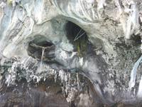 Abbau von Schwalbennestern