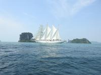 Unter weißen Segeln - Star Clipper 2018