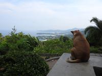 Schöne Aussicht - Phuket!