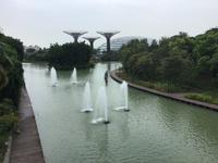 Gardens by the Bay - Singapur