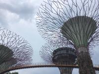 Gardens by the Bay - Singapur