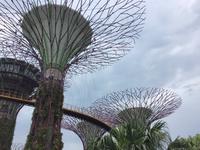 Gardens by the Bay - Singapur