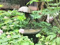 Gardens by the Bay - Singapur