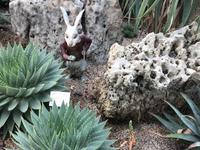 Gardens by the Bay - Singapur