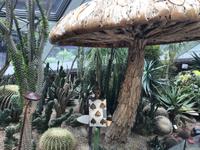 Gardens by the Bay - Singapur