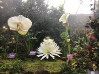 Gardens by the Bay - Singapur