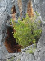 Bucht von Phang Nga