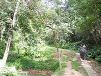 Elefantencamp