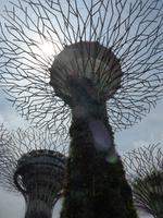 Garden of the Bay