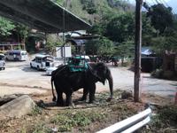Phuket 