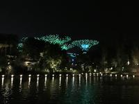 Singapur
