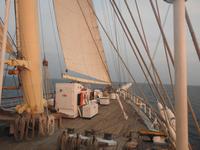 Star Clipper am Abend