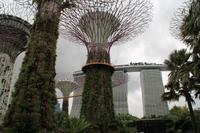 Singapur Gardens by the Bay