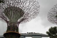 Singapur Gardens by the Bay
