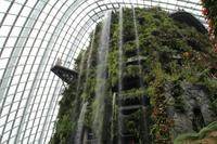 Singapur Gardens by the Bay