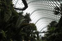 Singapur Gardens by the Bay