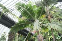 Singapur Gardens by the Bay